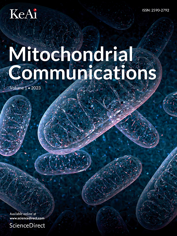 Go to journal home page - Mining Science and Technology (China)